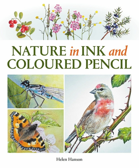 Nature in Ink and Coloured Pencil -  Helen Hanson