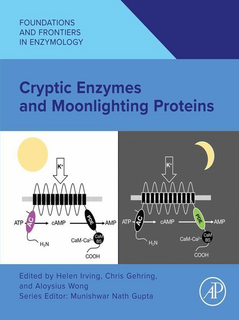 Cryptic Enzymes and Moonlighting Proteins - 