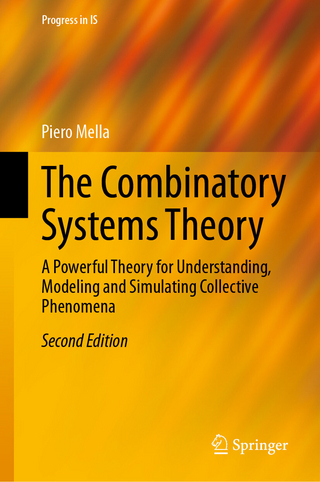 The Combinatory Systems Theory