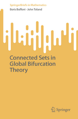 Connected Sets in Global Bifurcation Theory -  Boris Buffoni,  John Toland