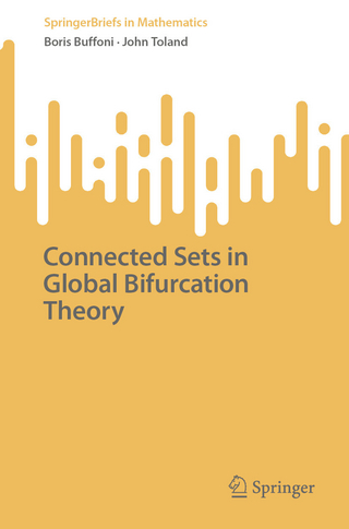 Connected Sets in Global Bifurcation Theory