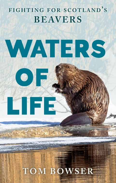 Waters of Life - Tom Bowser