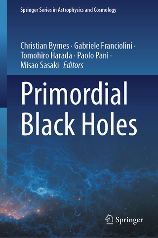 Primordial Black Holes