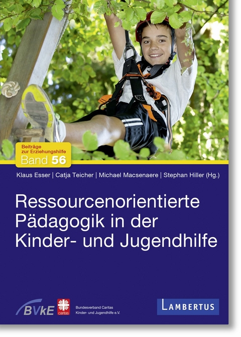 Ressourcenorientierte P&auml;dagogik in der Kinder- und Jugendhilfe - 