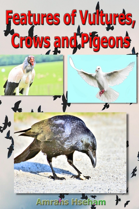 Features of Vultures, Crows and Pigeons -  Amrahs Hseham