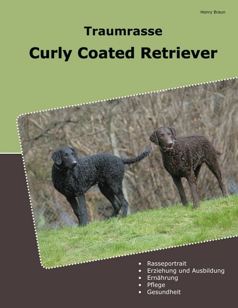 Traumrasse Curly Coated Retriever - Henry Braun