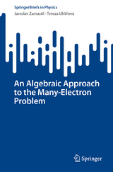 An Algebraic Approach to the Many-Electron Problem -  Jaroslav Zamastil,  Tereza Uhlířová