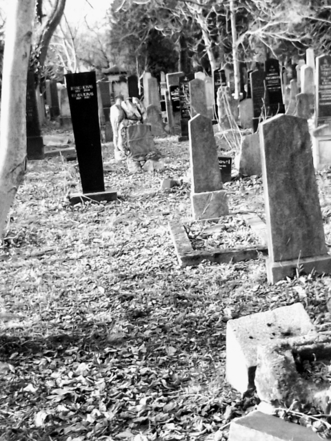 Der schwarze Rabe - Erich Kaiser