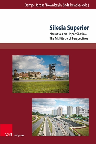 Silesia Superior