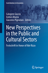 New Perspectives in the Public and Cultural Sectors - 