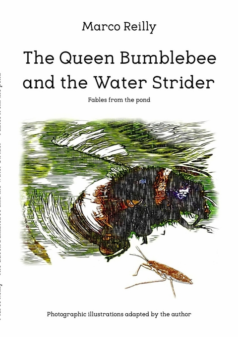 The Queen Bumblebee and the Water Strider - Marco Reilly