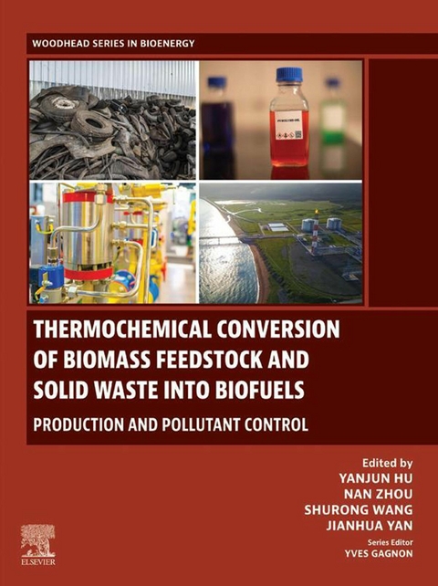 Thermochemical Conversion of Biomass Feedstock and Solid Waste into Biofuels - 