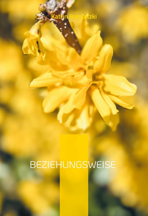 Beziehungsweise -  Katrin Bombitzki