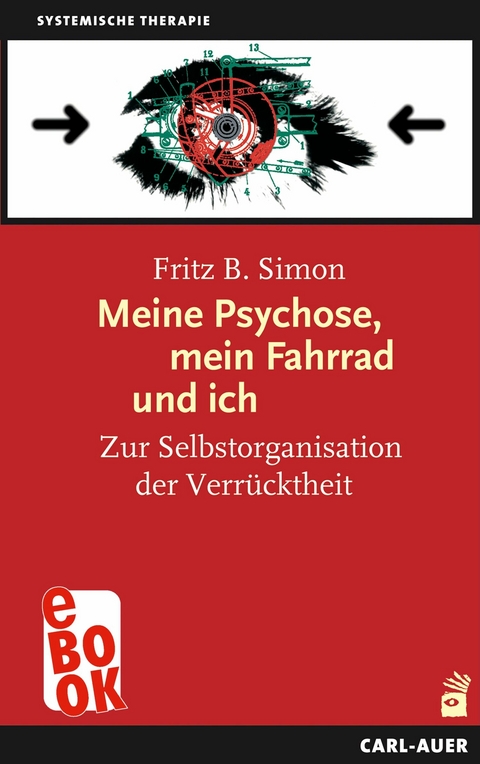 Meine Psychose, mein Fahrrad und ich - Fritz B. Simon