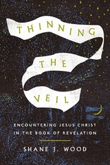Thinning the Veil -  Shane J. Wood