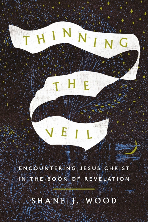 Thinning the Veil -  Shane J. Wood