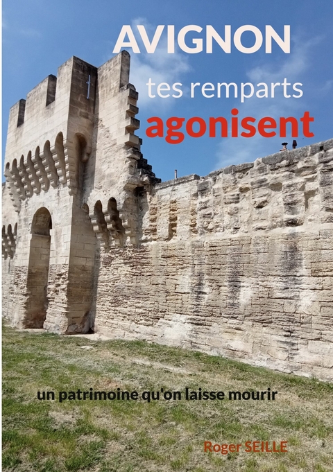 Avignon, tes remparts agonisent - Roger Seille