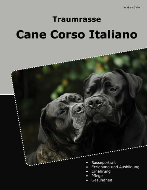 Traumrasse Cane Corso Italiano - Andrea Gallo