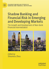 Shadow Banking and Financial Risk in Emerging and Developing Markets - 