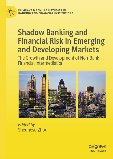 Shadow Banking and Financial Risk in Emerging and Developing Markets - 