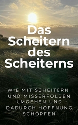 Das Scheitern des Scheiterns - Martin Falk
