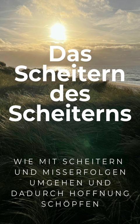 Das Scheitern des Scheiterns - Martin Falk