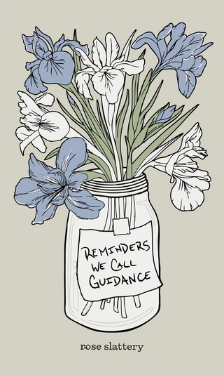 Reminders We Call Guidance