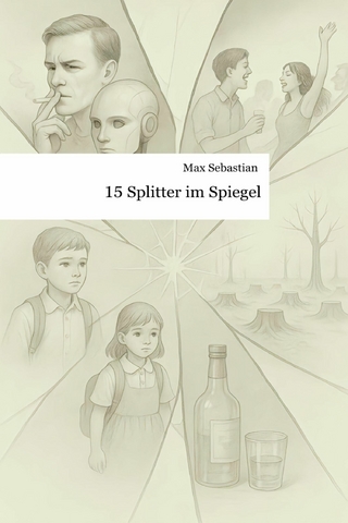 15 Splitter im Spiegel