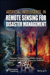 Artificial Intelligence in Remote Sensing for Disaster Management - 