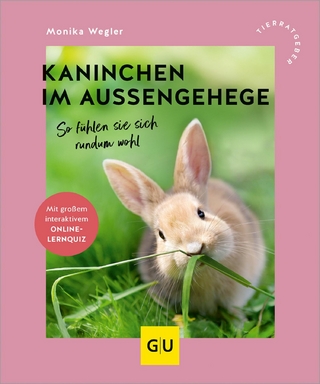 Kaninchen im Außengehege