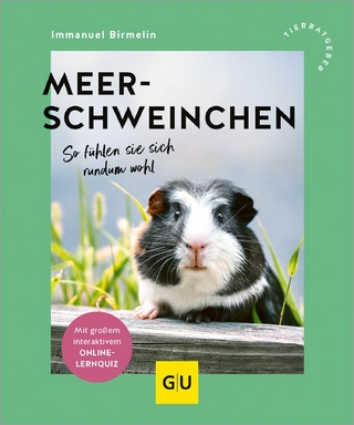 Meerschweinchen