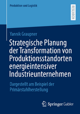 Strategische Planung der Transformation von Produktionsstandorten energieintensiver Industrieunternehmen - Yannik Graupner