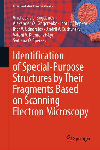 Identification of Special-Purpose Structures by Their Fragments Based on Scanning Electron Microscopy
