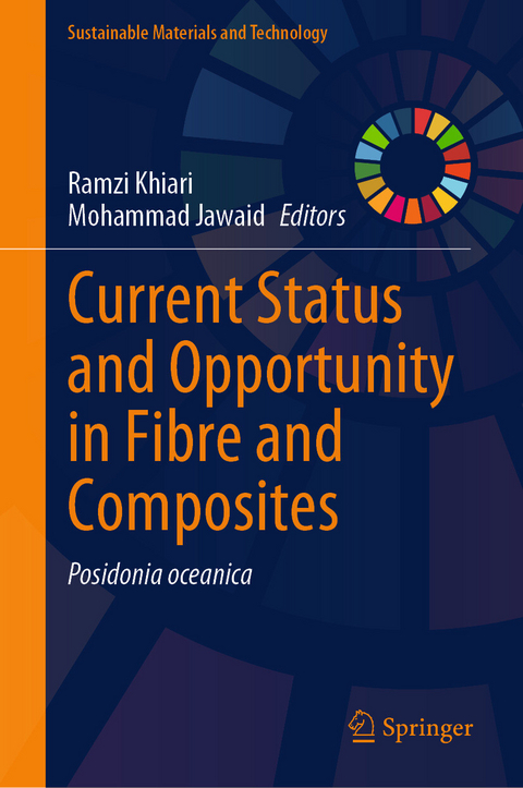 Current Status and Opportunity in Fibre and Composites - 