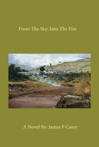 From the Sky; into the Fire