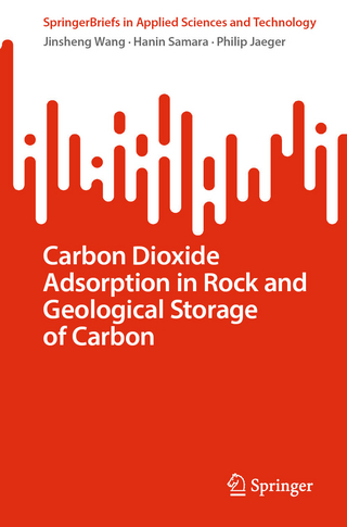 Carbon Dioxide Adsorption in Rock and Geological Storage of Carbon