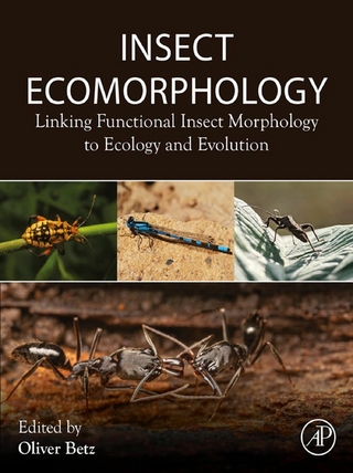 Insect Ecomorphology