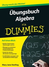 &Uuml;bungsbuch Algebra f&uuml;r Dummies - Mary Jane Sterling