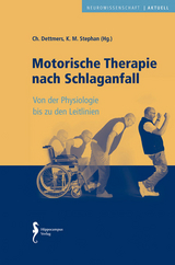 Motorische Therapie nach Schlaganfall - 