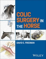 Colic Surgery in the Horse - David E. Freeman