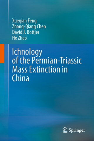 Ichnology of the Permian-Triassic Mass Extinction in China