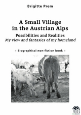 A Small Village in the Austrian Alps - Brigitte Prem