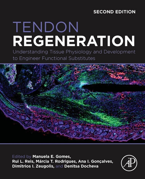 Tendon Regeneration - 