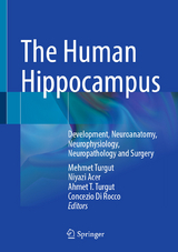 The Human Hippocampus - 