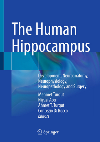 The Human Hippocampus