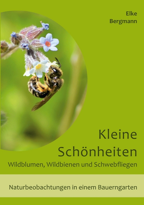 Kleine Sch&ouml;nheiten - Wildblumen, Wildbienen und Schwebfliegen -  Elke Bergmann