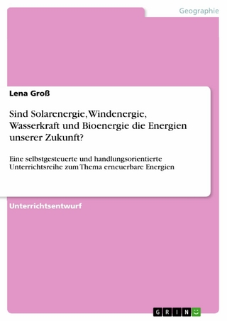 Sind Solarenergie, Windenergie, Wasserkraft und Bioenergie die Energien unserer Zukunft?