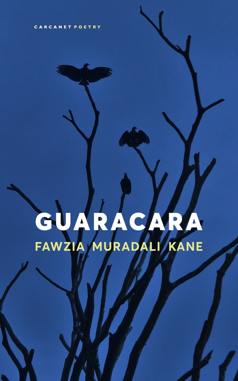 Guaracara -  Fawzia Muradali Kane