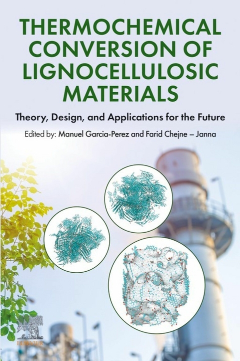 Thermochemical Conversion of Lignocellulosic Materials - 