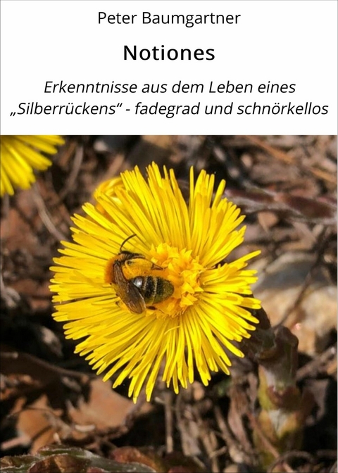 Notiones - Peter Baumgartner